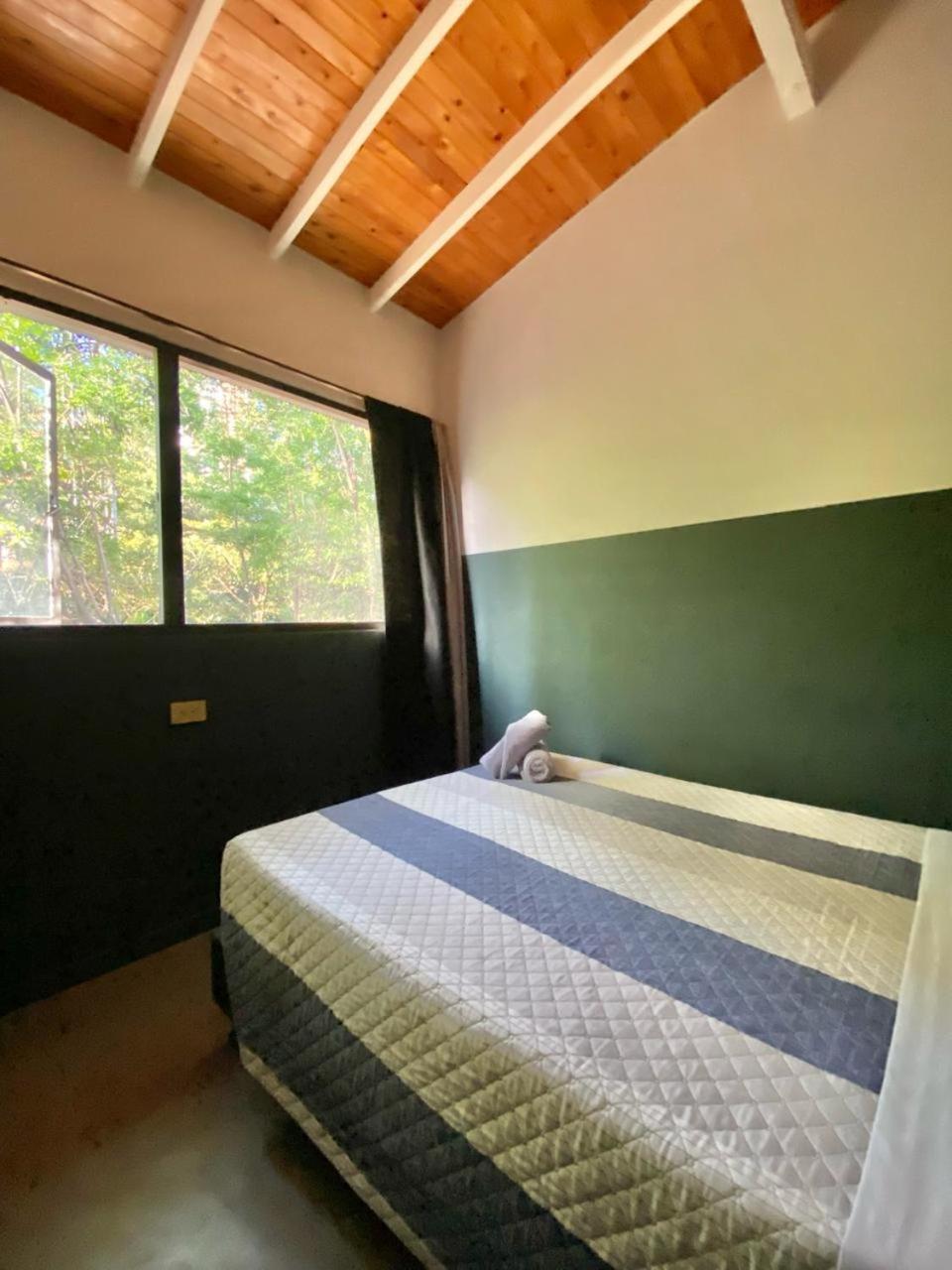 Casa Mosaiko Patio Bonito Ξενοδοχείο Μεντεγίν Εξωτερικό φωτογραφία