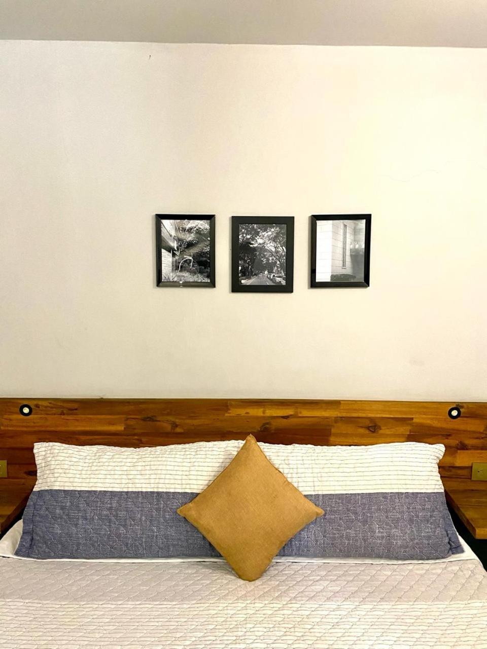 Casa Mosaiko Patio Bonito Ξενοδοχείο Μεντεγίν Εξωτερικό φωτογραφία